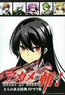 アカメが斬る! 第10巻 とらのあな特典 8Pラフ集