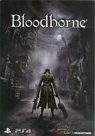 Folleto Blood born (TGS2014)