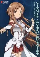 Sword Art Online Endworld Visual Book com itens de bônus