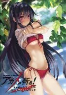 Akame ga KILL! Another Creator Visual Fanbook
