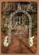 Pamphlet Shizuka ito LIVE TOUR 2013 Feeling Life