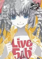 Pamphlet Live5pb. 2013