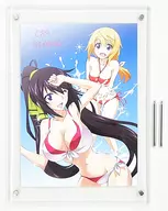 インフィニット・ストラトス 直筆サイン入り複製原画