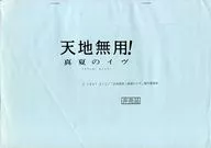 Tenchi Muyo! Mid-Summer Eve Character setting