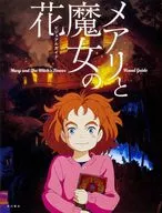 Mary and Witch's Flower Visual Guide