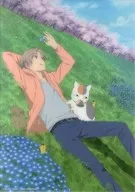 夏目友人帳伍完整生產限定版全卷Animate購入特典Clear Portrate