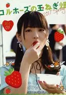Corhoes的洋葱田Vol.9
