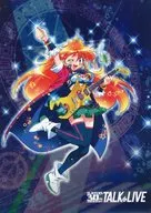 Pamphlet THE SLAYERS 30th Anniversary Event ~ IF YOU DO N'T GET TOGETHER, YOU'LL GET WILD! ~