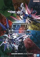 Pamphlet METAL BUILD FESTIVAL 2024