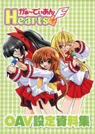 Gaidean Hearts OVA Configuration Documents