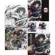 TV Anime "Demon Slayer: Kimetsu no Yaiba" Pillar Practice, Makuma Art Collection Deluxe Edition Mizubashira Giyu Tomioka Edition
