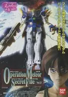 Operation Meteor Secret File vol.3