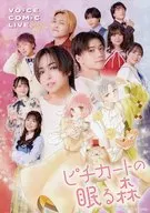 パンフレット ピチカートの眠る森 VOICE COMIC LIVE 