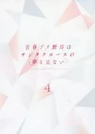 リーフレット型B3ポスター 青春ブタ野郎はサンタクロースの夢を見ない 4 [完全生産限定版] 特典