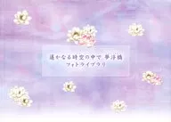遥かなる時空の中で 夢浮橋 フォトライブラリ