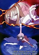 Melty Blood ActivisAgain combo DVD-Butterfly Effect / Canon