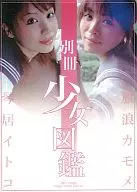 Bessatsu Shojo Zukan / Happy Works Delivery