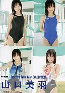 CD写真集Sportive Swim Wear COLLECTION山口美羽/数码出版