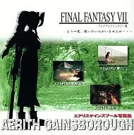 FINAL FANTASY VII AERITH GAINSBOROUGH写真集 / ぱるぱる通信局
