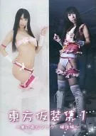 东方假装集1～梦之东方标签輝夜篇～/MIYA☆FUKUORI
