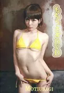 もちうさぎDVD 序章 / もちうさクエスト