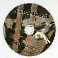 街猫公園猫画像集4 香港ラマ島の猫たち / キンクロハジロ愛好会