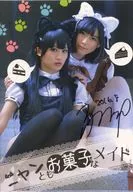 Nyantomo Okashi-Maids / Futabure. com (Condition : with signature)