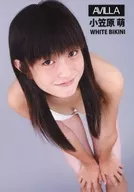 WHITE BIKINI OGASAWARA MOE / Avilla