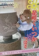 Hanasaku Iroha : Hanasaku Itsuka Tsubasa / SECRET VERSION