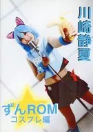Zun ROM Cosplay Edition / QsR