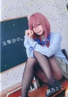 五等分。猫乃这里/猫耳集会