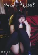 Bunny or Rabbit Jade Bell [Slim Tall Case Edition] / Kaleidoscope