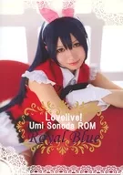 Royal Blue / Dark Angel