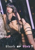 Black or Pink? / ぺてんし(屋)