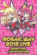 MOSAIC.WAV 2012 LIVE AKIBA-POP √NICOLLECTION / MOSAIC.WAV