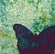 PANGEA / Neo Classica ASCendant