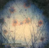 UNTITLED SAMPLES DISK-02 / UNTITLED SAMPLES