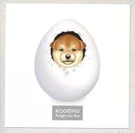 Relight our fire. KOGEINU / MOVE ON ENTERTAINMENT