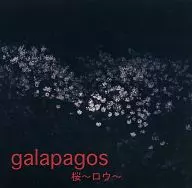 Sakura ~ Ro ~ / galapagos