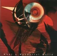 What a Wonderful World / Pilgrim