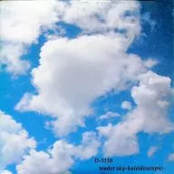 tender sky-kaleidoscopic- / Luv 4beats Records