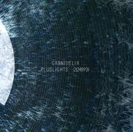 PLUSLIGHTS -21248931-[+1] / GARNiDELiA