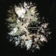 Breathe / Euchaeta