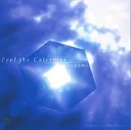 Feel the Calcretes / 100sec Records