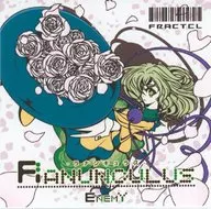 RANUNCULUS - Ranunculus - / FRACTCL