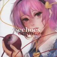 echoes / 少年ヴィヴィッド