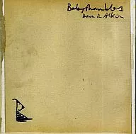 BABYSHAMBLES/Down In Albion[进口盘]