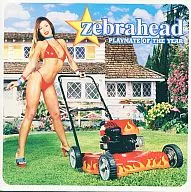 Zebrahead / PLAYMATE OF THE YEAR [Import]