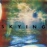 THE HORORS / SKYING [import edition]