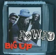 ASWAD/Big Up[进口盘]